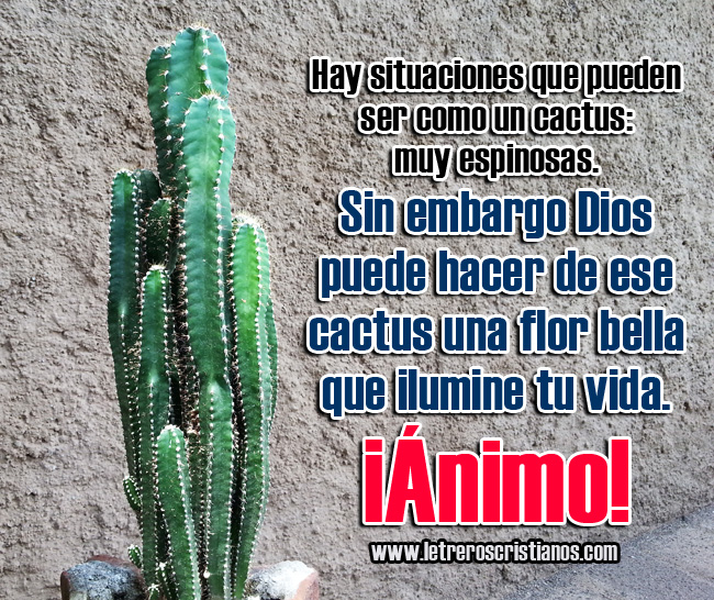 Como un cactus – Letreros  :: Imagenes Cristianas, Imagenes  para Facebook, Frases Cristianas